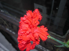 inducción de emociones
