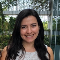 organigrama-dana-macarena-paredes-mealla